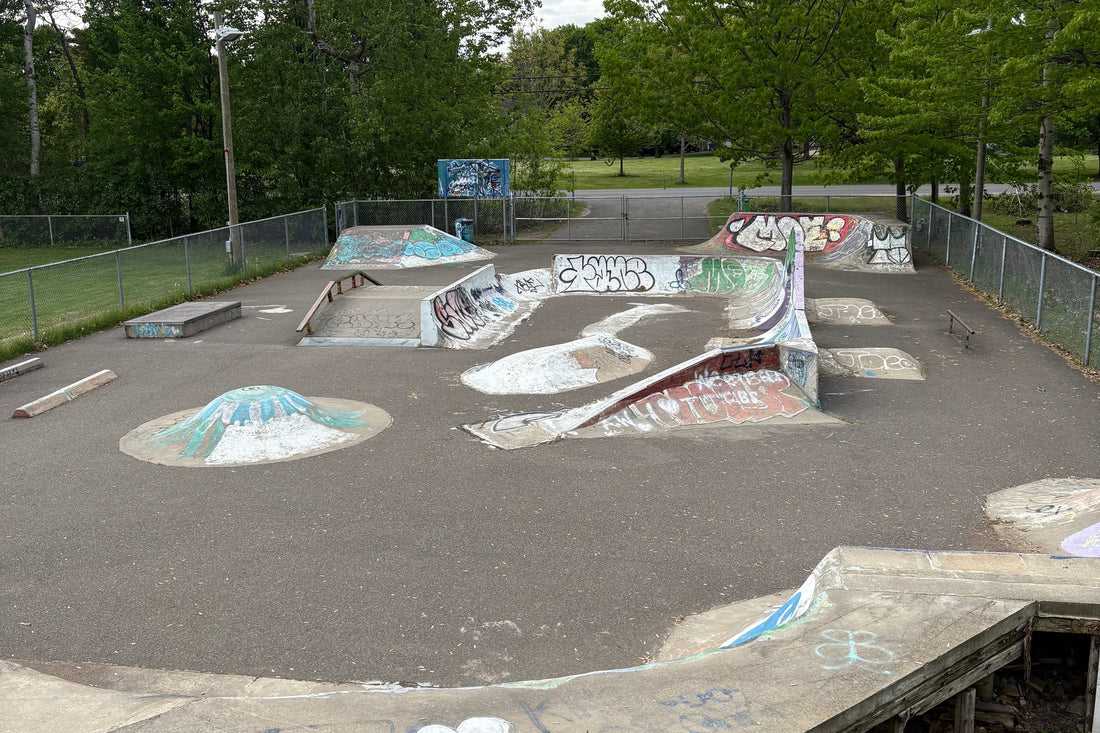 NDIP skatepark