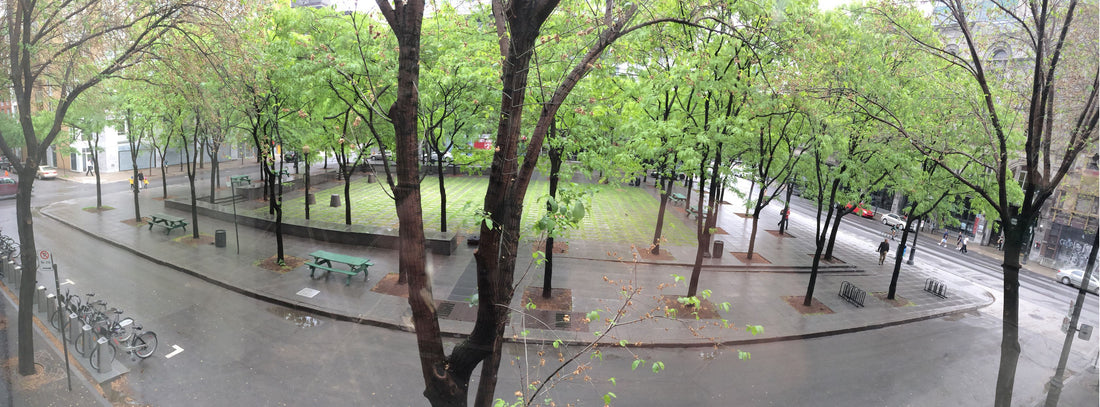 Peace Park/ Place de la Paix