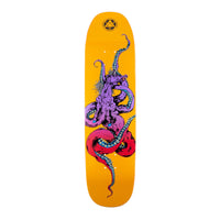Welcome Deck Seahorse 2 on Amulet 8.25