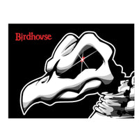 Birdhouse Sticker Tony Hawk Falcon - Medium
